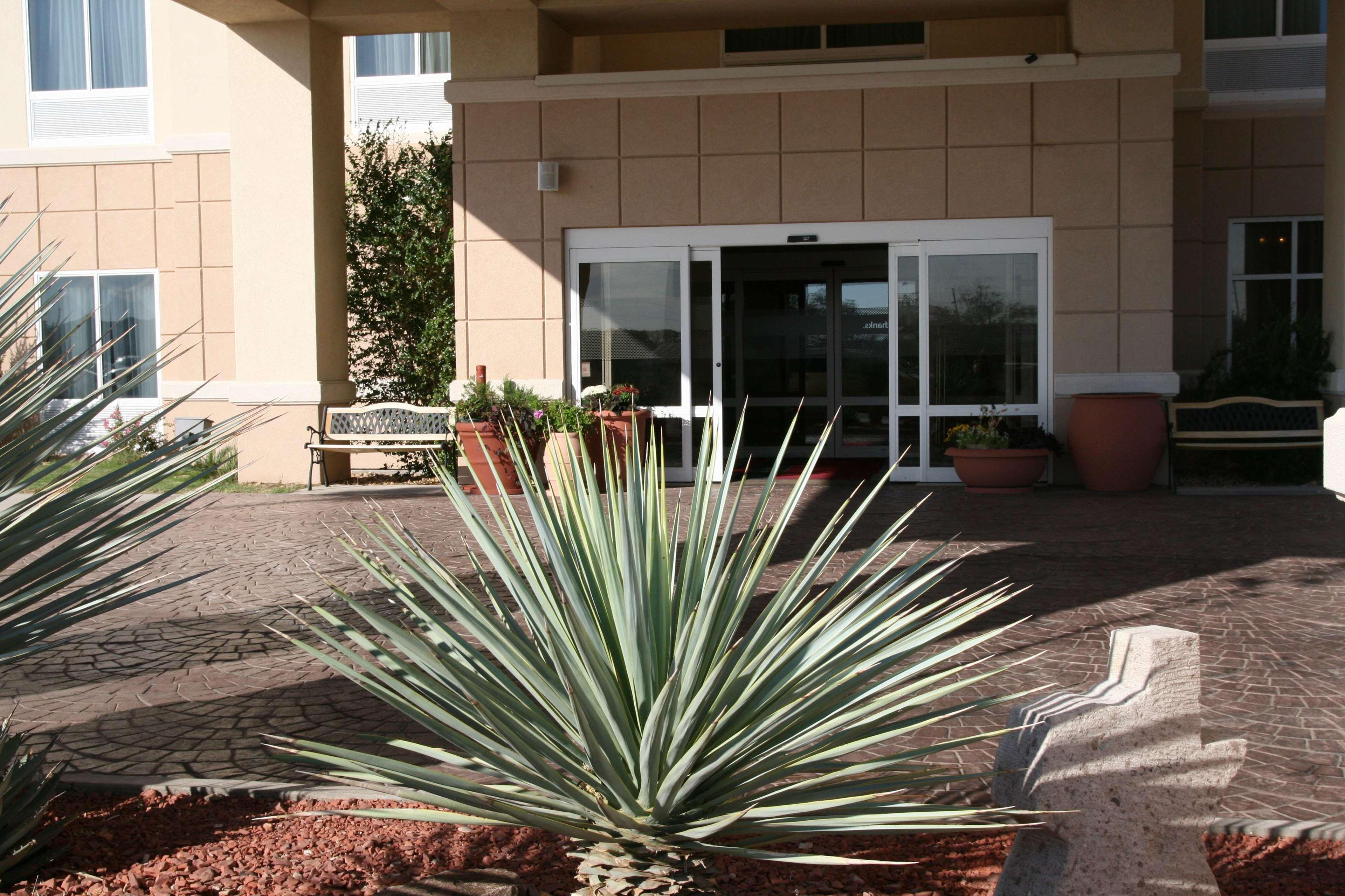 Hampton Inn Alpine Exterior photo